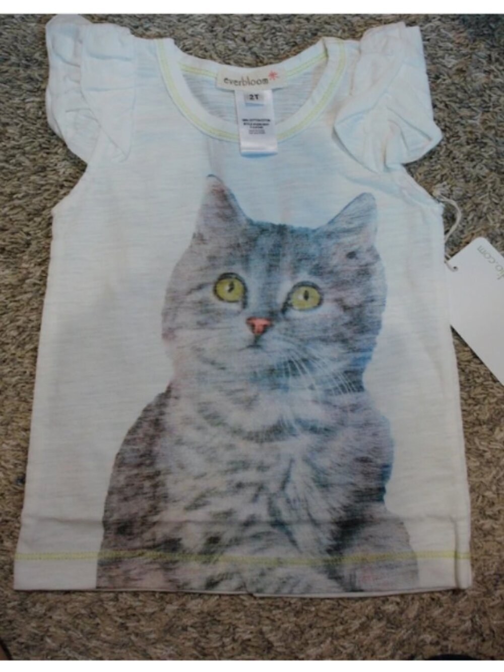 Kitty Top with flutter Sleeves, many sizes